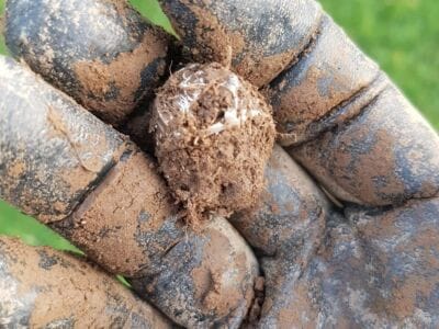 Silver Horse Shoe Ring With Simplex+ - 3