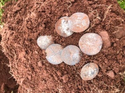 Been Using Simplex Now Since 2020 - 3