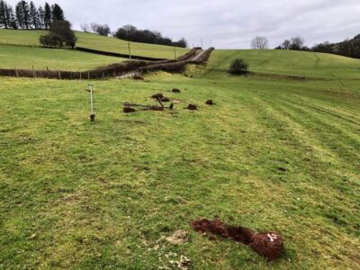 Been Using Simplex Now Since 2020 - 4