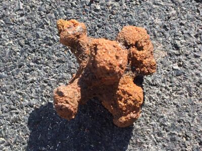 Had A Decent Hunt This Weekend - 12