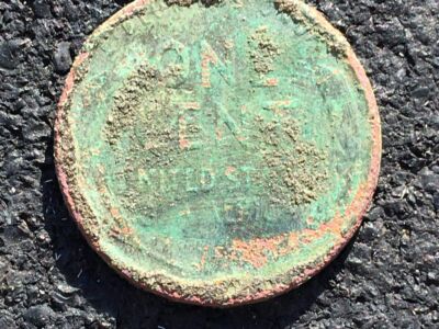 Had A Decent Hunt This Weekend - 6