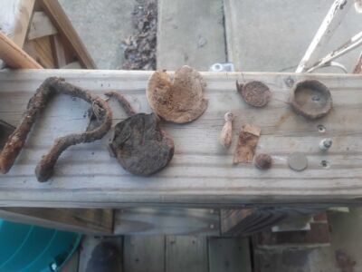 Quick Hunt After Church With Simplex - 1