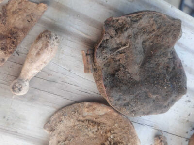 Quick Hunt After Church With Simplex - 2