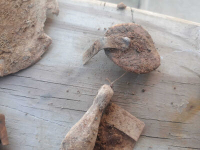 Quick Hunt After Church With Simplex - 3