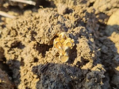 A Silver Gilt Tudor Century 1500 Pendant - 1