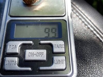 Finding In The Rio De La Plata Argentina - 1