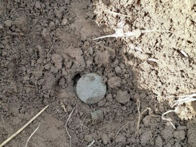 Haven't Had A Day Like This In A Long Time - 4