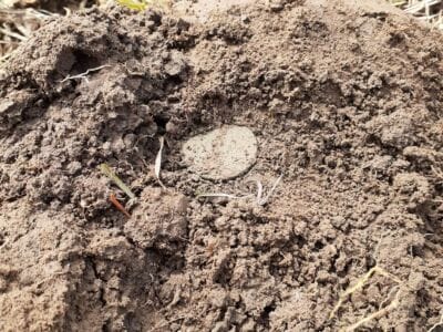 Haven't Had A Day Like This In A Long Time - 5