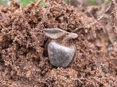 The Legend Is Awesome And Has Found - 4