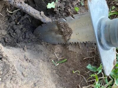 The Legend Metal Detector Loves Nickels - 4