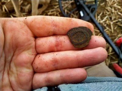 Two Hours Two Roman Brooches - 6