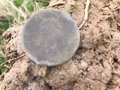 Permission This Morning With The Simplex - 5