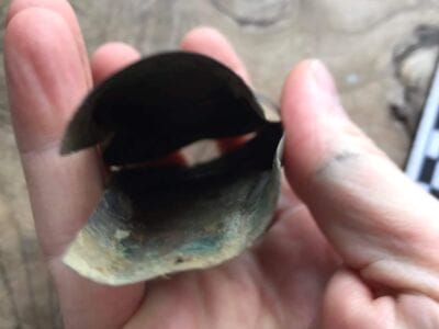 Permission This Morning With The Simplex - 7