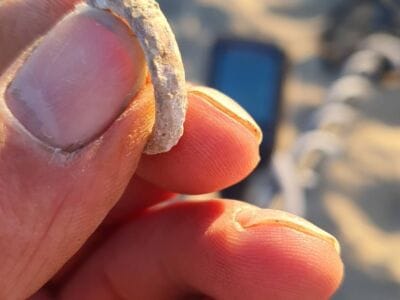 The Legend Going Forward Great - 4