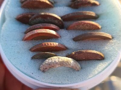 The Legend Going Forward Great - 5