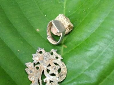 Power Of The Simplex+ Metal Detector - 1