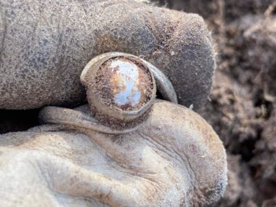 The Legend ID 44 Silver Ring With Pearl - 5