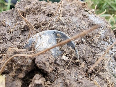 4 Weeks In A Row For Hammered Coins - 9