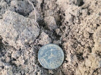 Found 1901 Indian Head Penny Today - 2