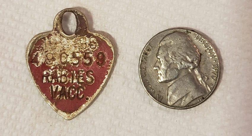 Poking Around The Old Foundation Again