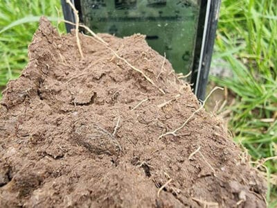 Three Hammered Silver For The Legend - 1