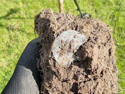 Three Hammered Silver For The Legend - 3