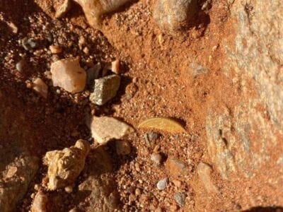 You Never Know What You'll Find Next - 1