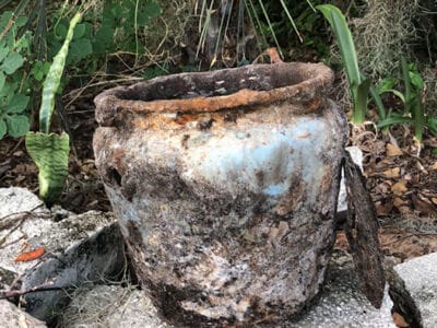 Nokta The Legend Strikes It At Down - 2