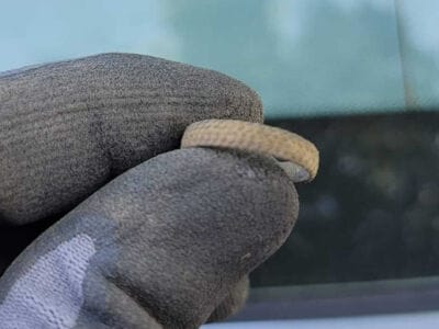 Some Things I Found With My The Legend - 4