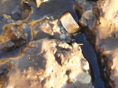 I Share What Came Out This Afternoon - 5