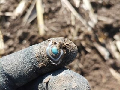 Another Moment On Czech Field With Kruzer - 3