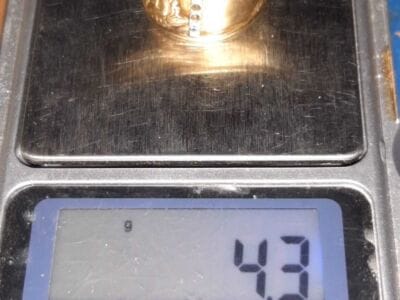 Good Hunt In The River With Anfibio Multi - 5