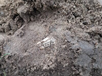 It's Been Awhile Since I Found A Ring - 3