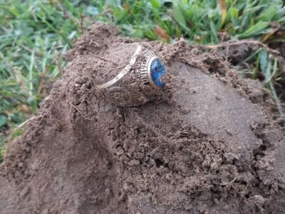 It's Been Awhile Since I Found A Ring - 4