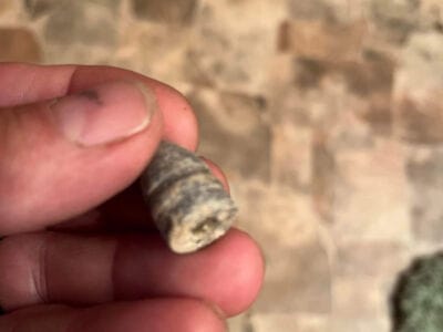 Some Recent Finds With My Nokta Simplex - 14