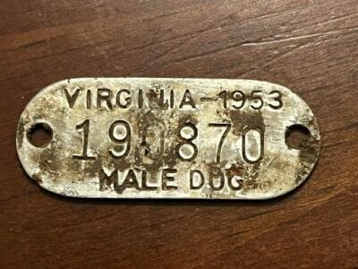 Some Recent Finds With My Nokta Simplex - 2