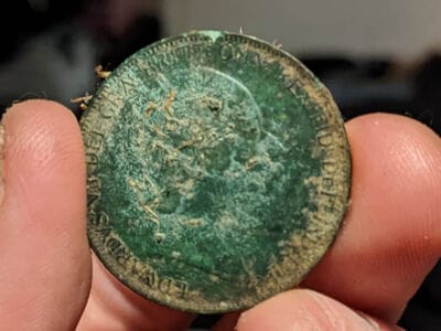 3 Hours Out This Afternoon In The Local Park - 2