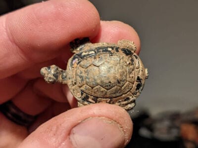 3 Hours Out This Afternoon In The Local Park - 5