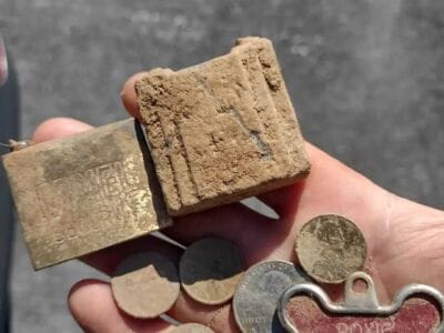 All Found With The Great Simplex+ Detector - 12