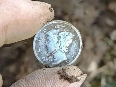 All Found With The Great Simplex+ Detector - 14