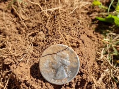 All Found With The Great Simplex+ Detector - 5