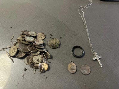 Today’s Finds In My Local Park With Simplex+ - 3