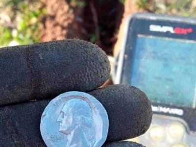 It Was A Fun Outing In The Woods - 1