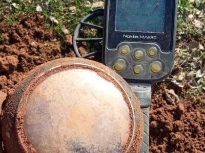 It Was A Fun Outing In The Woods - 2