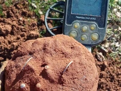 It Was A Fun Outing In The Woods - 3