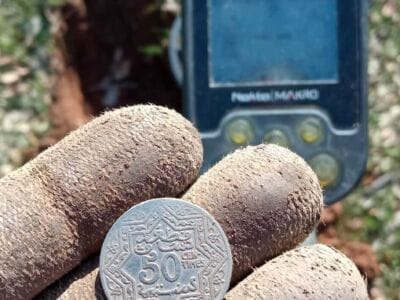 It Was A Fun Outing In The Woods - 4