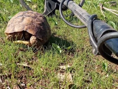 It Was A Fun Outing In The Woods - 7