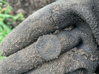 My First Hunt With Nokta The Legend - 5