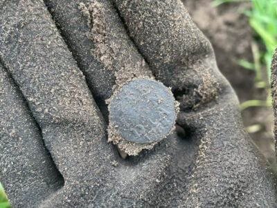 My First Hunt With Nokta The Legend - 6