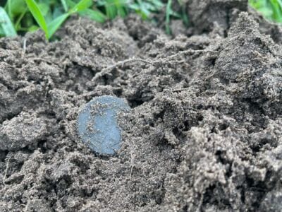 My First Hunt With Nokta The Legend - 7